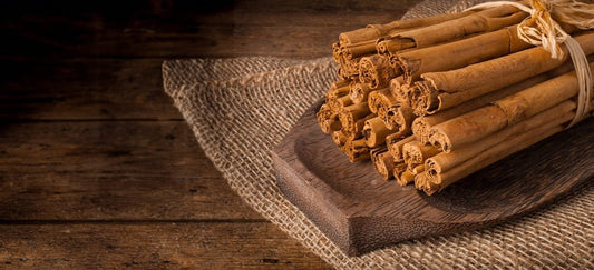 Cynamon Cejloński – prawdziwa królowa wśród przypraw korzennych